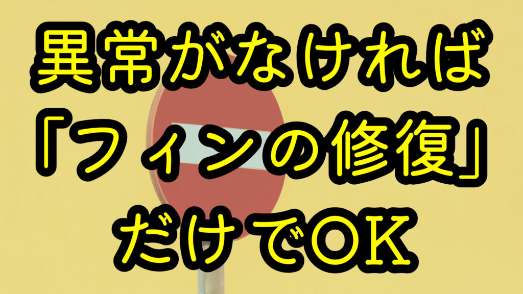 異常がなければ「フィンの修復」だけでOK